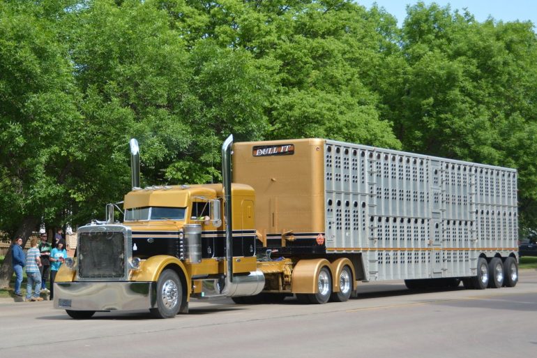bull hauler jobs & pay guide