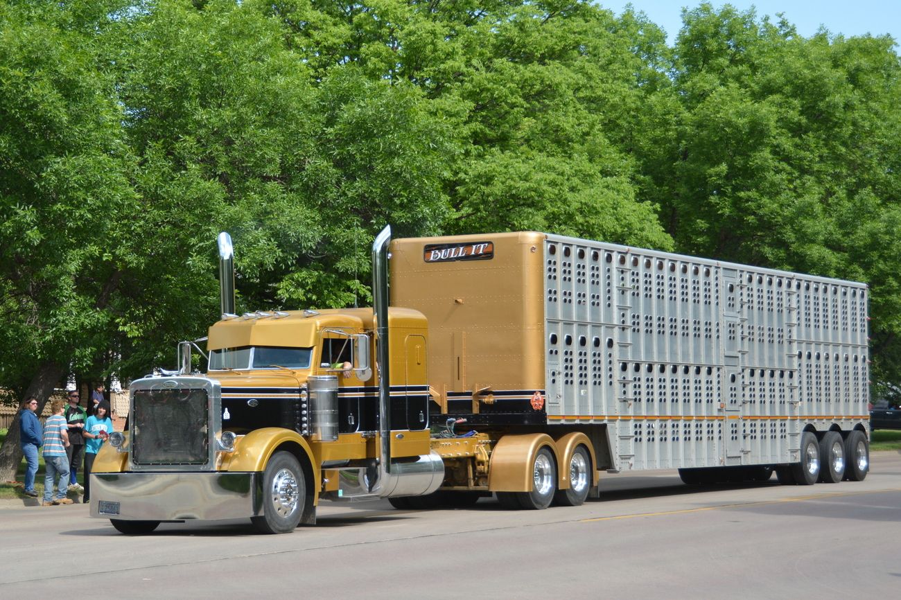 bull hauler jobs & pay guide